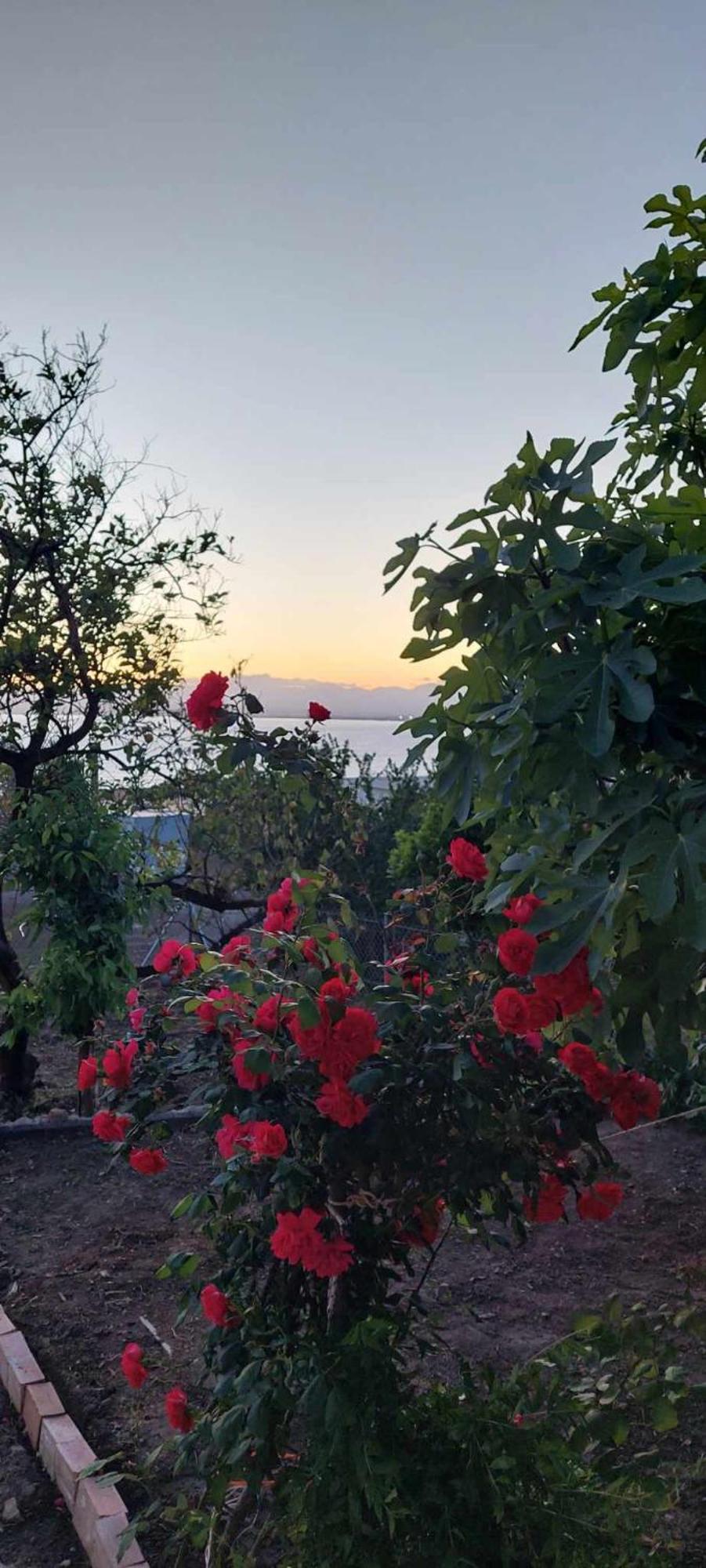 Panorama Studio Kalamata Exterior photo